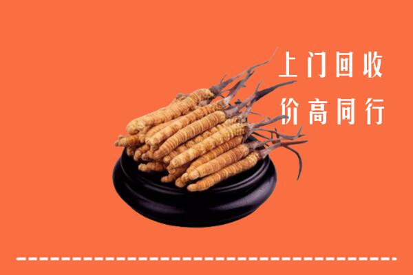 高价求购：岚山回收散虫草