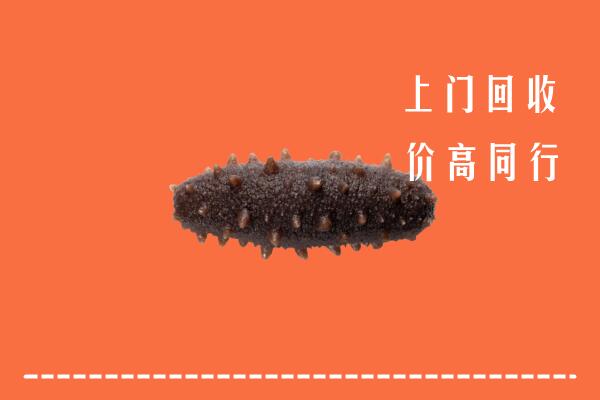 高价求购：岚山回收海参
