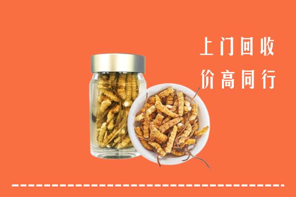 岚山回收冬虫夏草