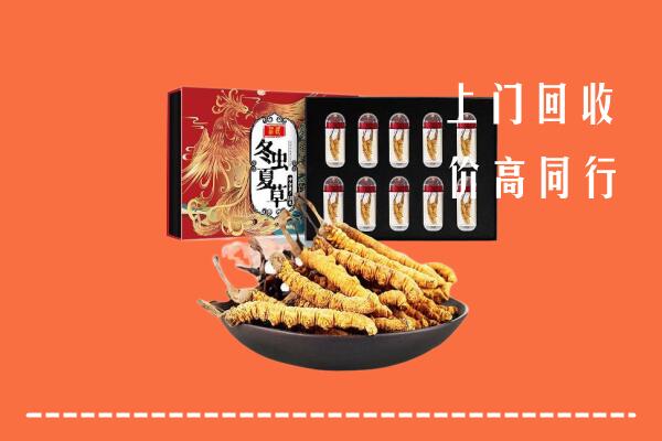 岚山回收虫草
